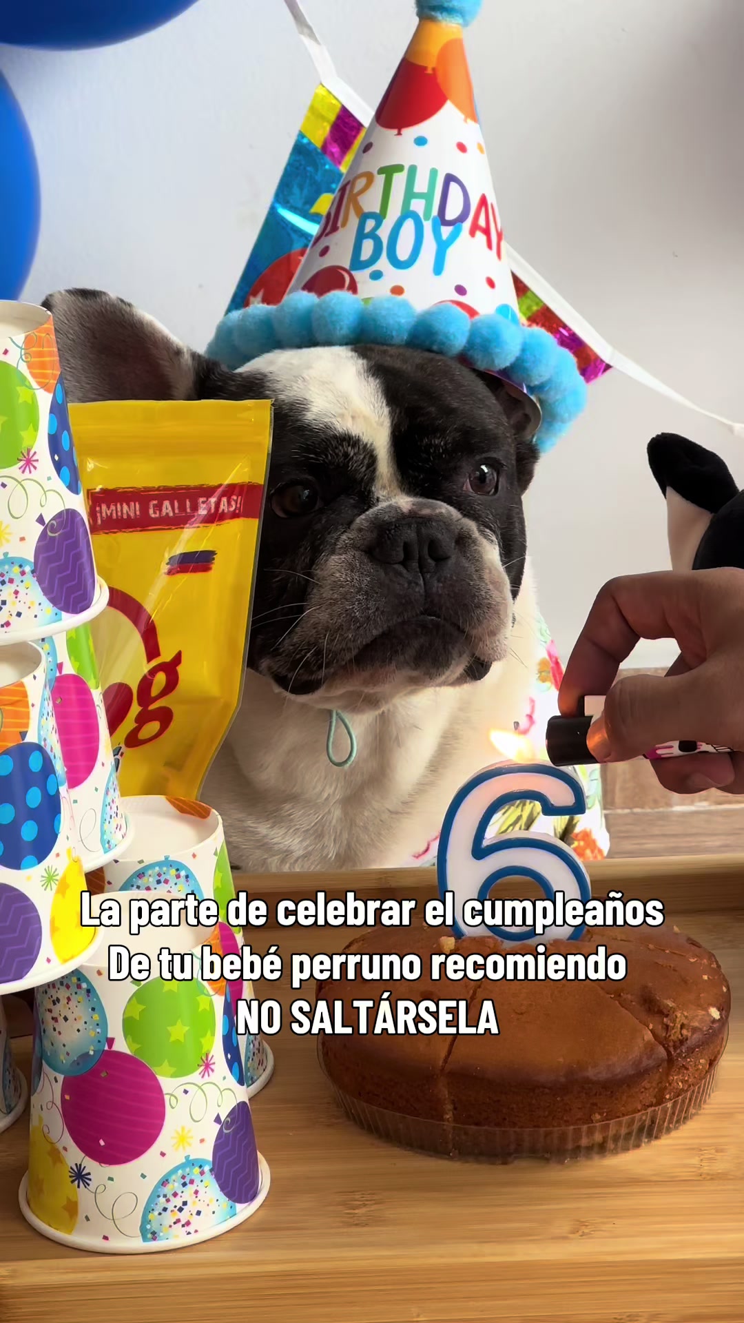 @Maria Fer