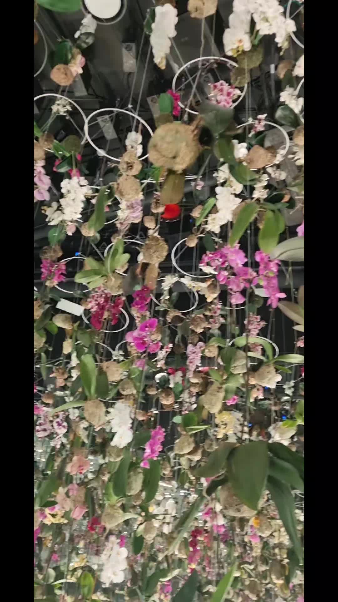 @Даниела Кукуева