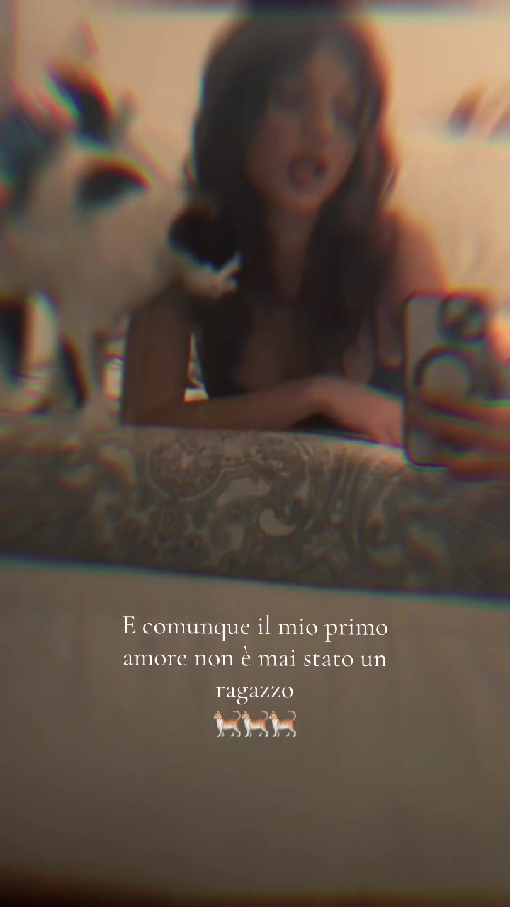 @💔NoLove💔