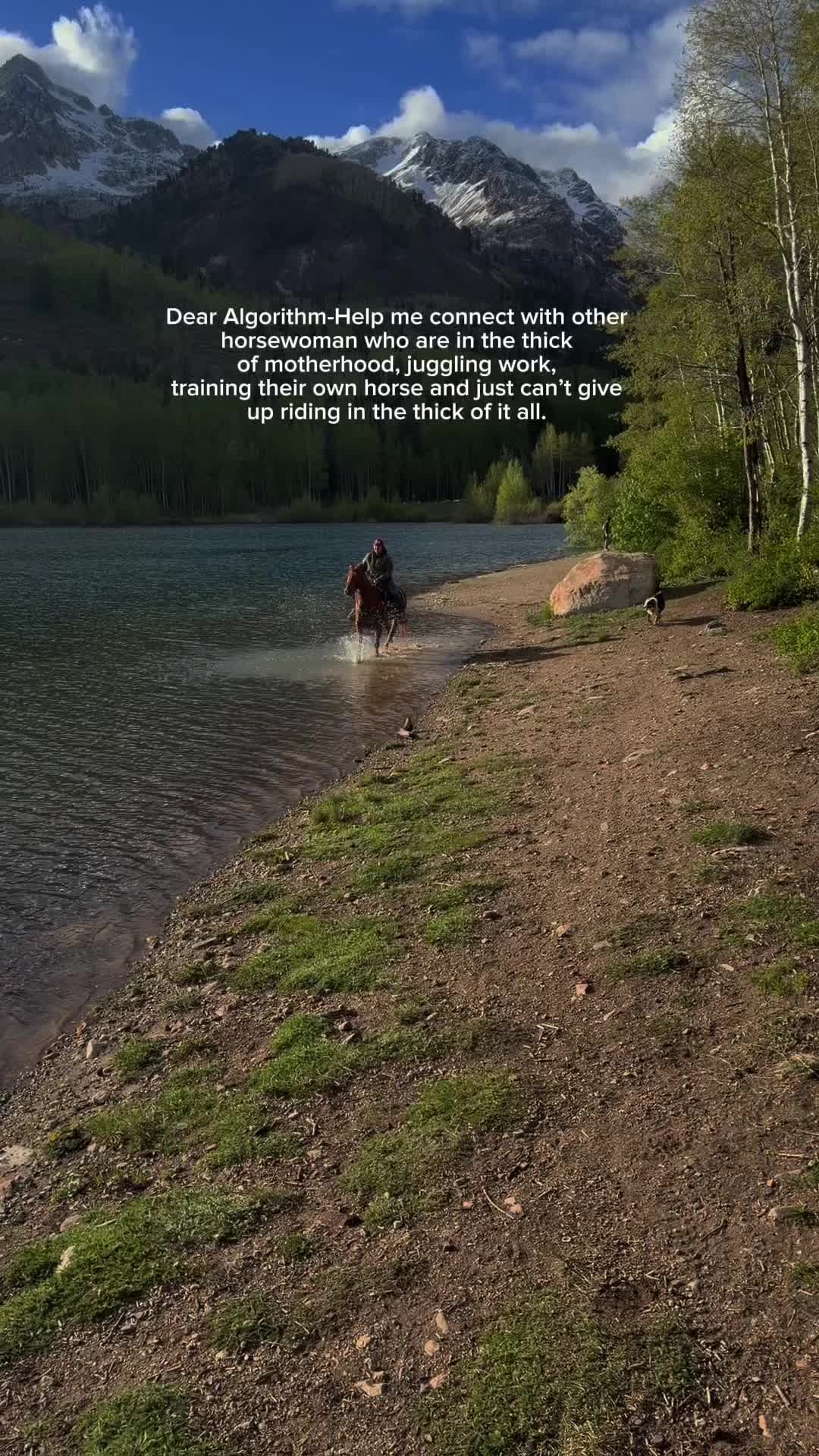 @wild.horsewoman