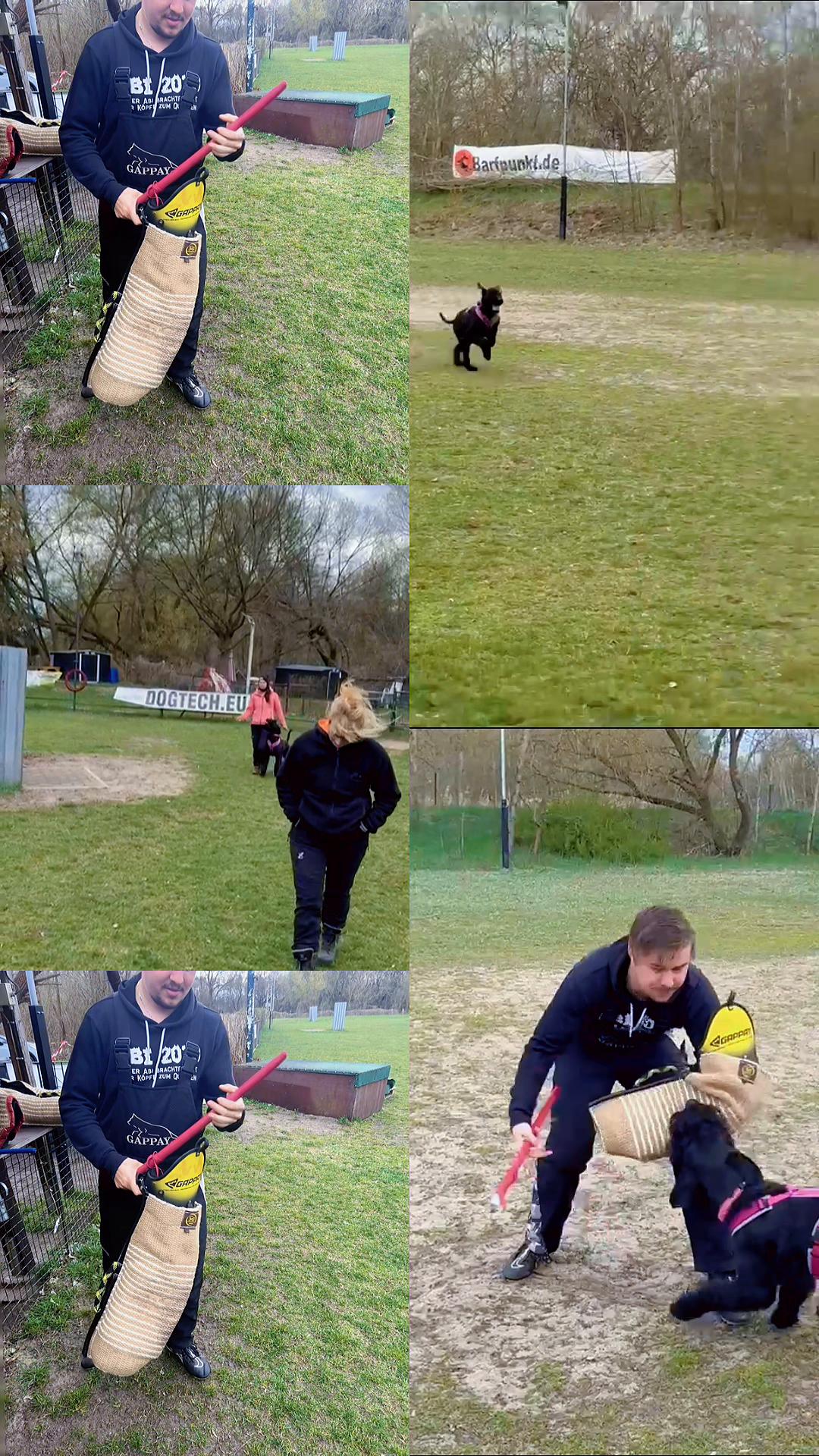 @Jasi&Tobi Dogsport
