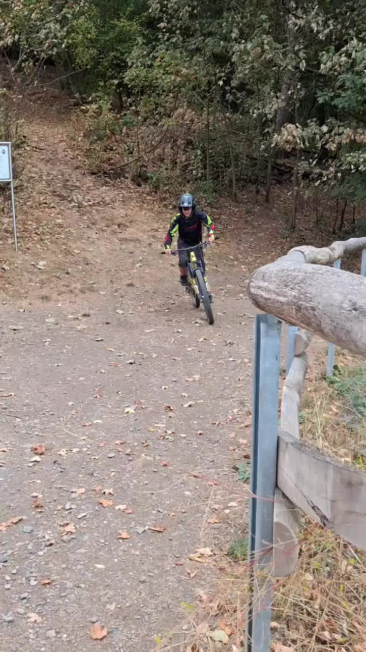 @Marlonebohne 🦫