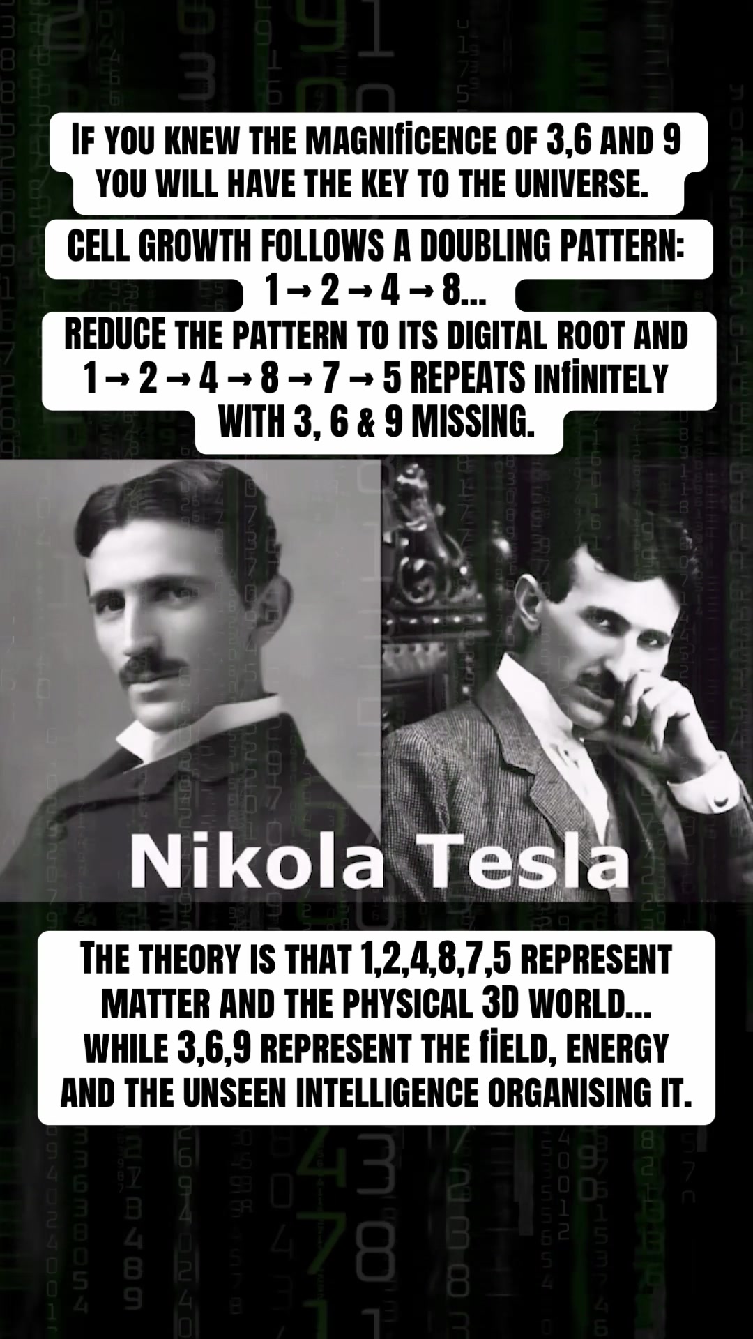 @Mind Awake | Reality Decoded