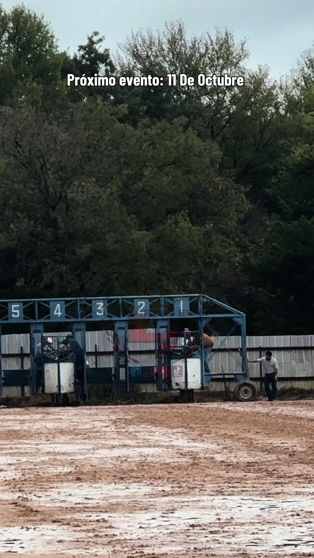 @Karril El 4