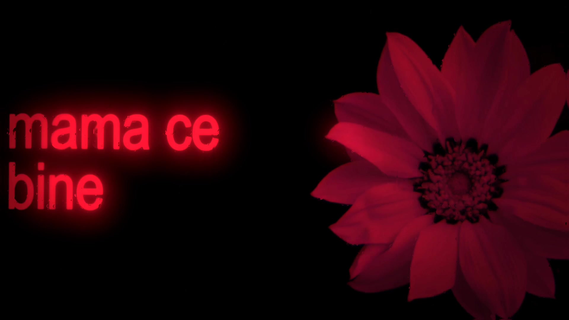 @𝐒𝐏𝐄𝐄𝐃 𝐋𝐘𝐑𝐈𝐂𝐒