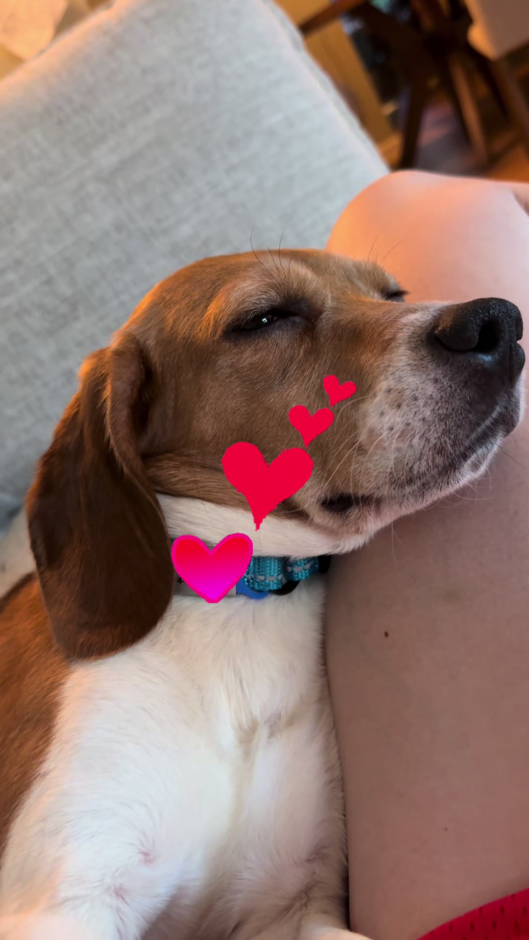 @ramensrescue