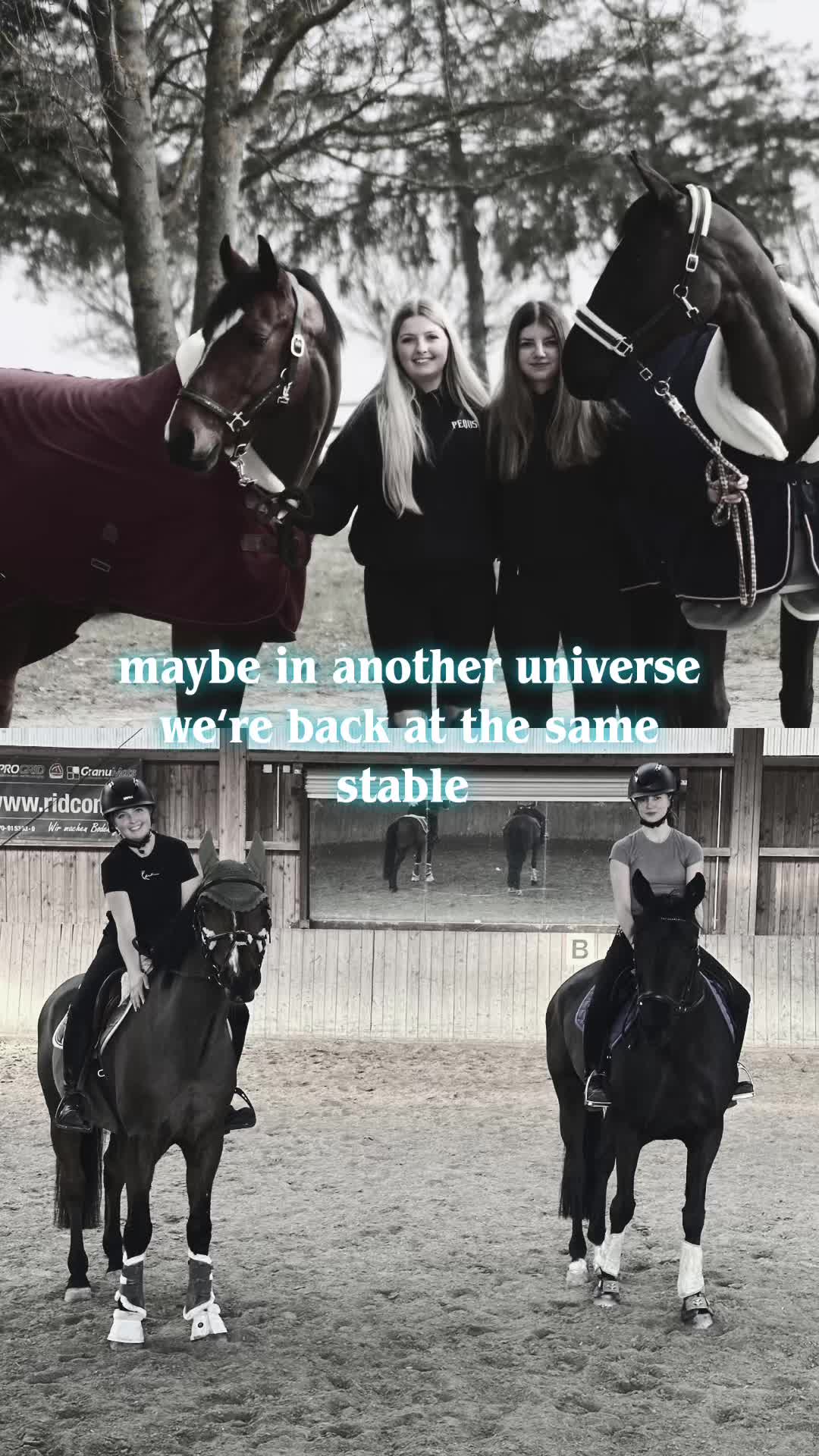 @callitoos.horselife