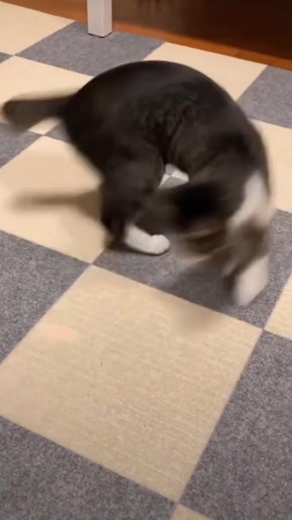 @𝕄𝕣ℂ𝕙𝕣𝕚𝕫𝕫