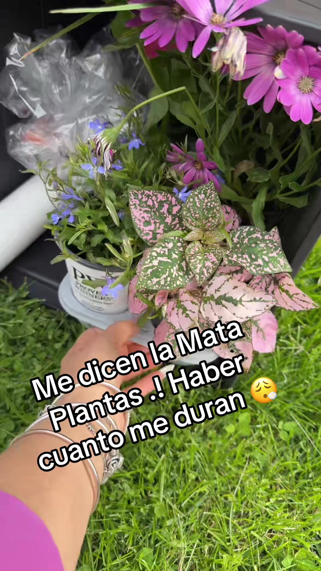 @Adriana 🇲🇽