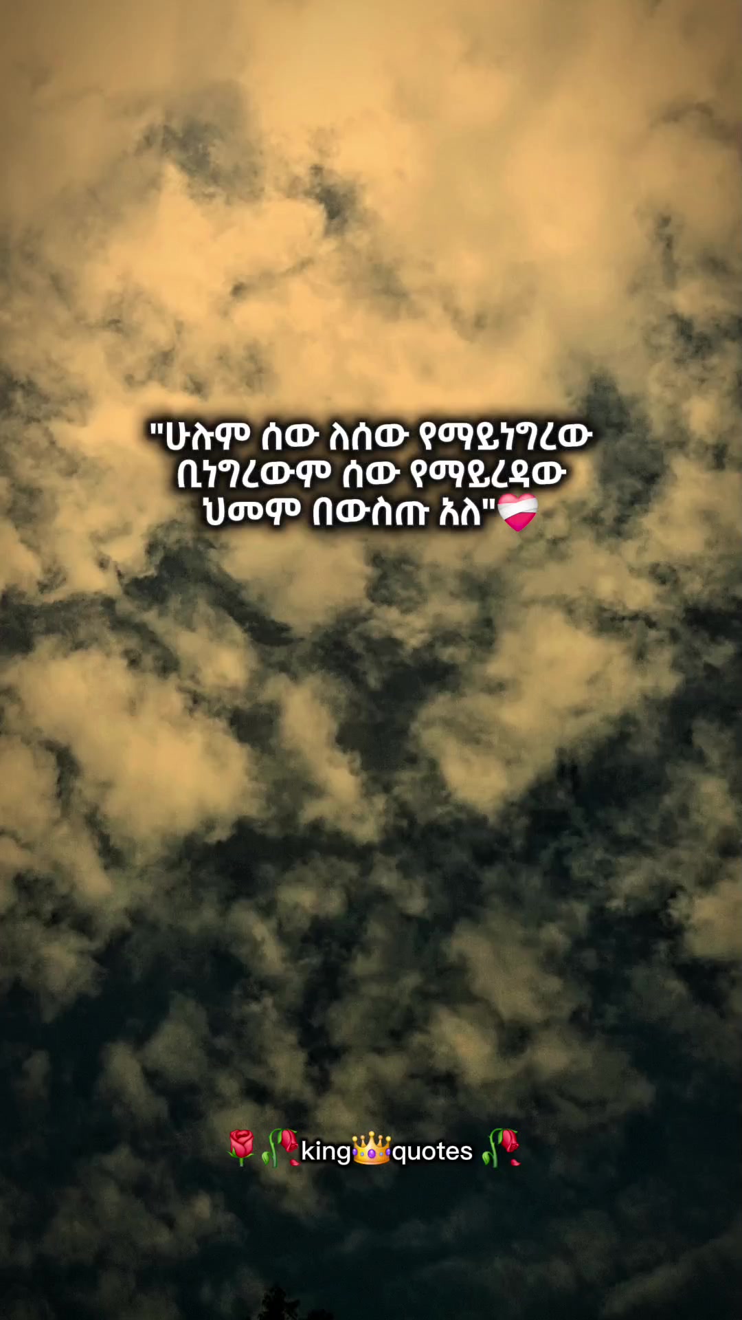 @🌹🌾king👑 quote's 🥀🥀