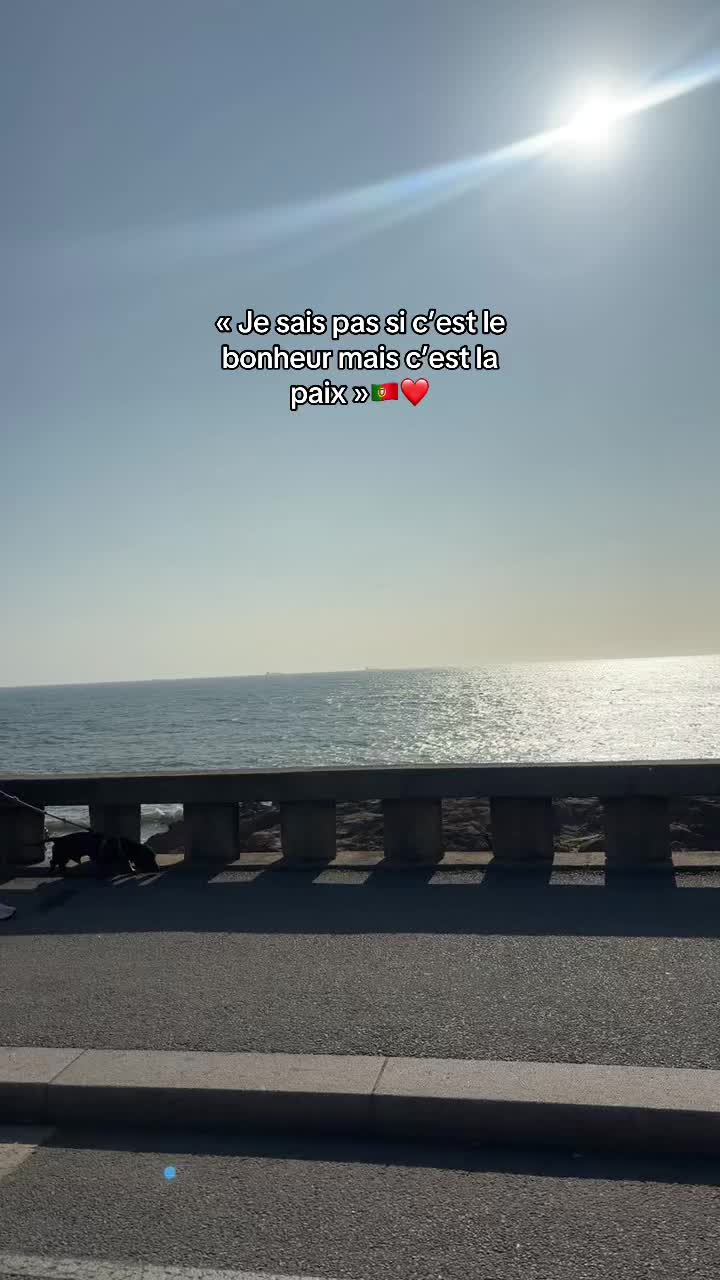 @Soares Júlia💎