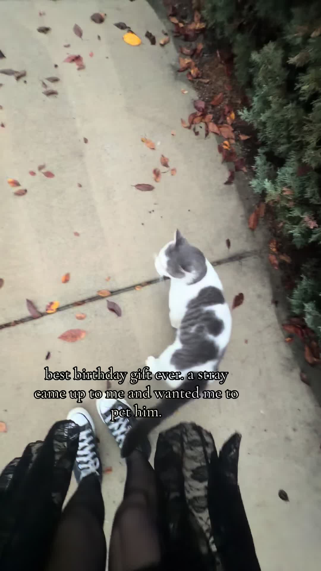 @𝔄𝔯𝔦 𝔍𝔢𝔞𝔫𝔫𝔢 🧛🏻♀️🦇
