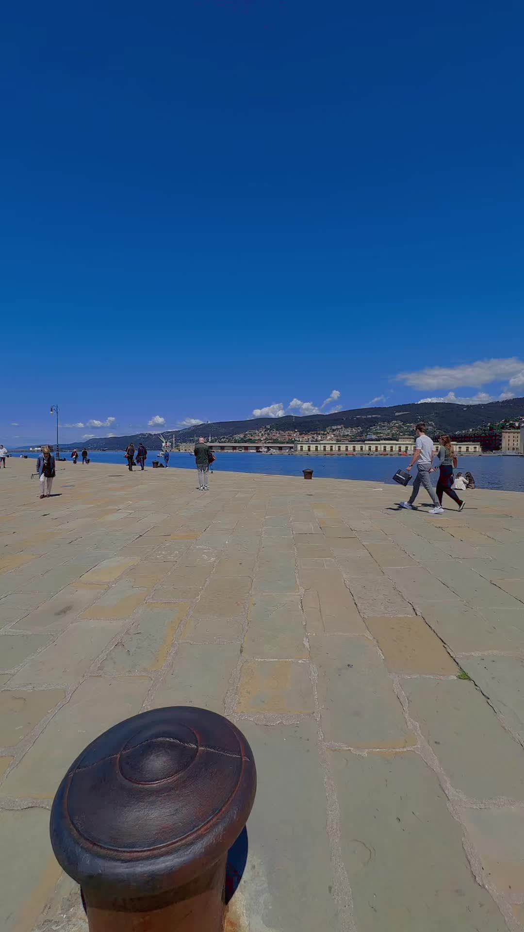 @<Ali🦁🦅>🇮🇹