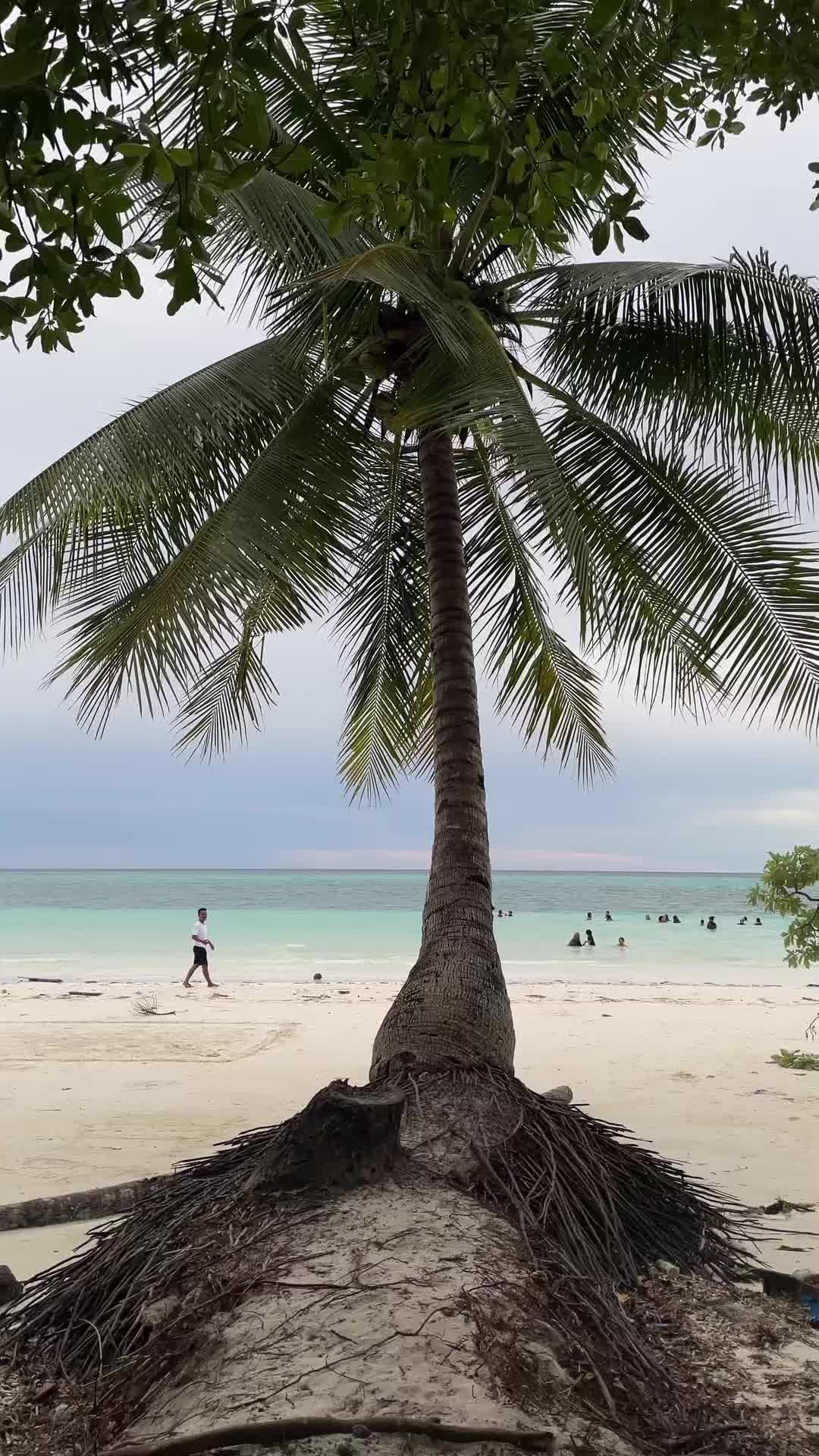 @NGURBLOAT BEACH