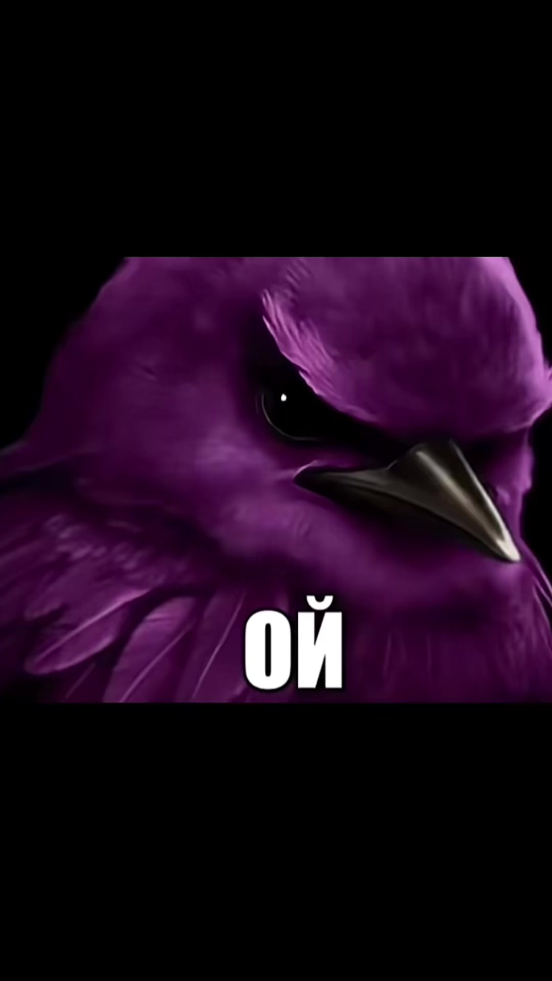 @тгк:qw0sedx༒