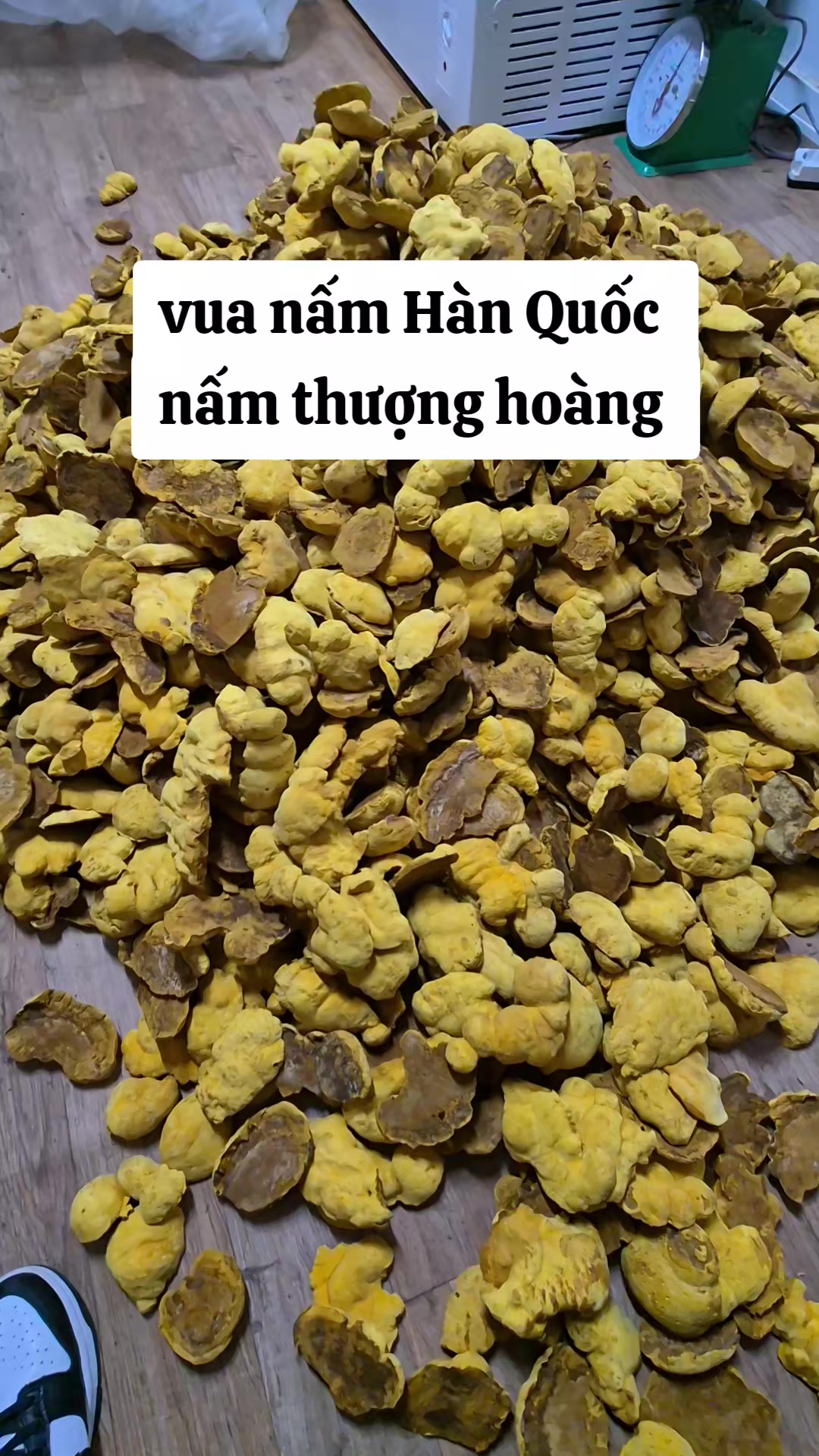 @vu thi tuong (ceohanmeryeo)