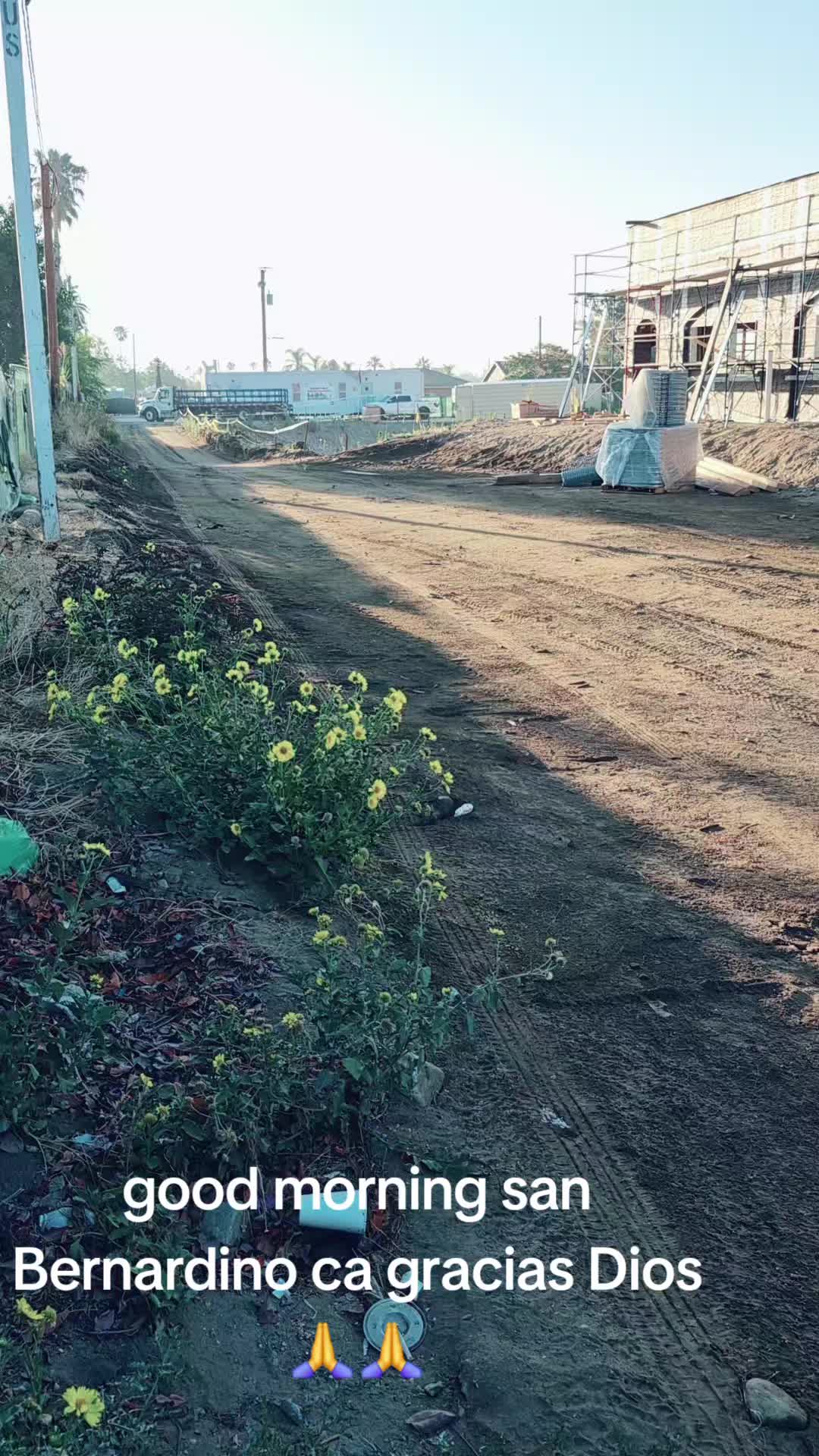 @Luis juarez85