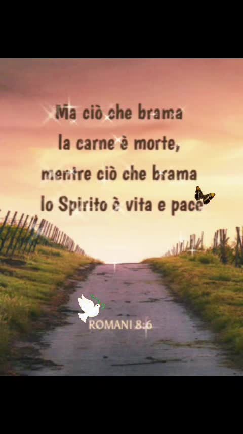 @Sharabal