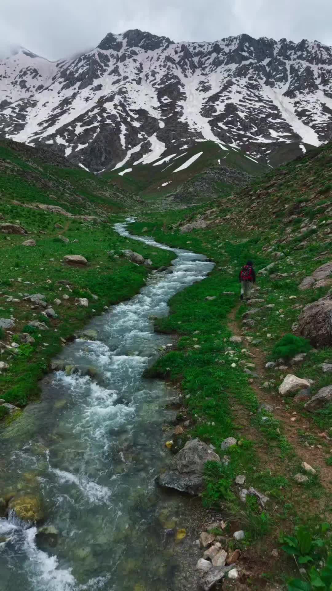@Yanlız adamAlmanya