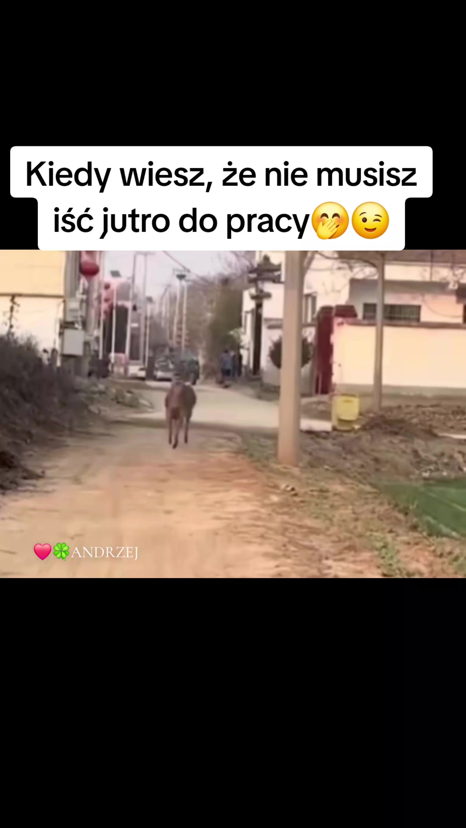 @❤️🍀ANDRZEJ