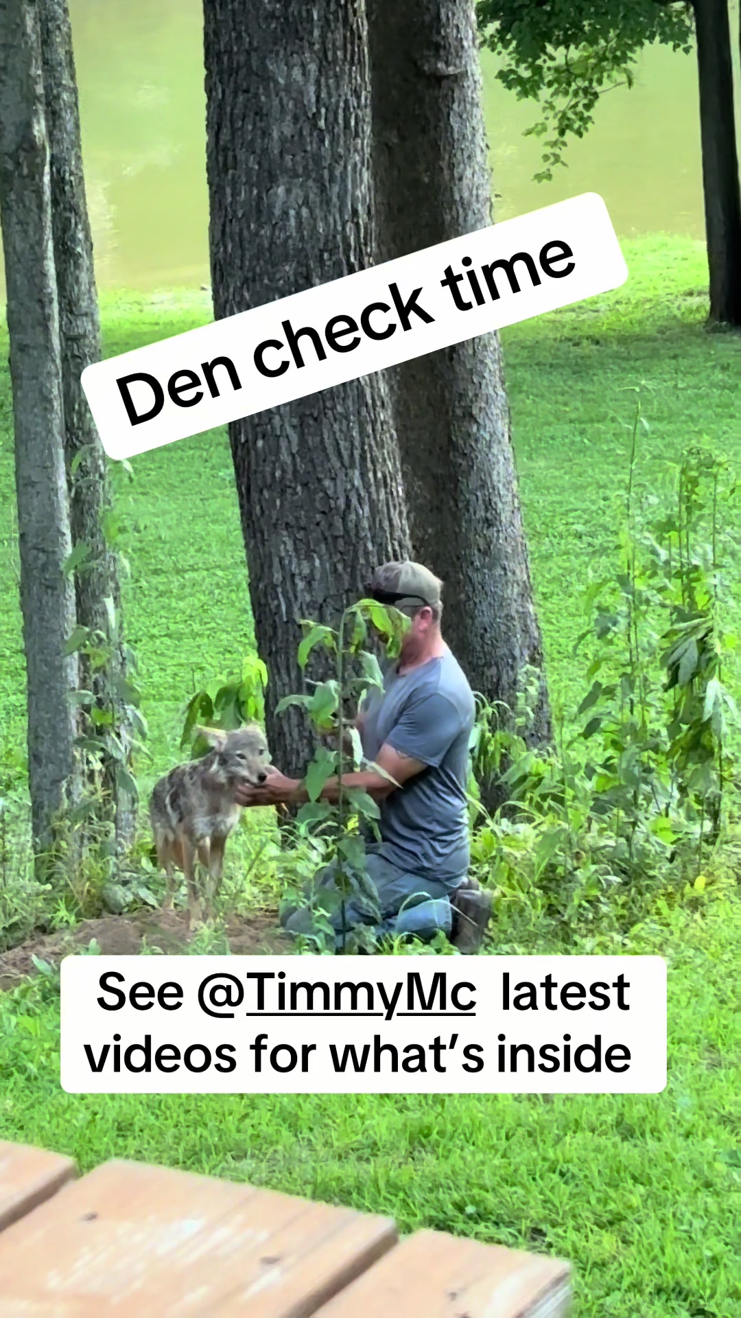 @ittybittyfarm1