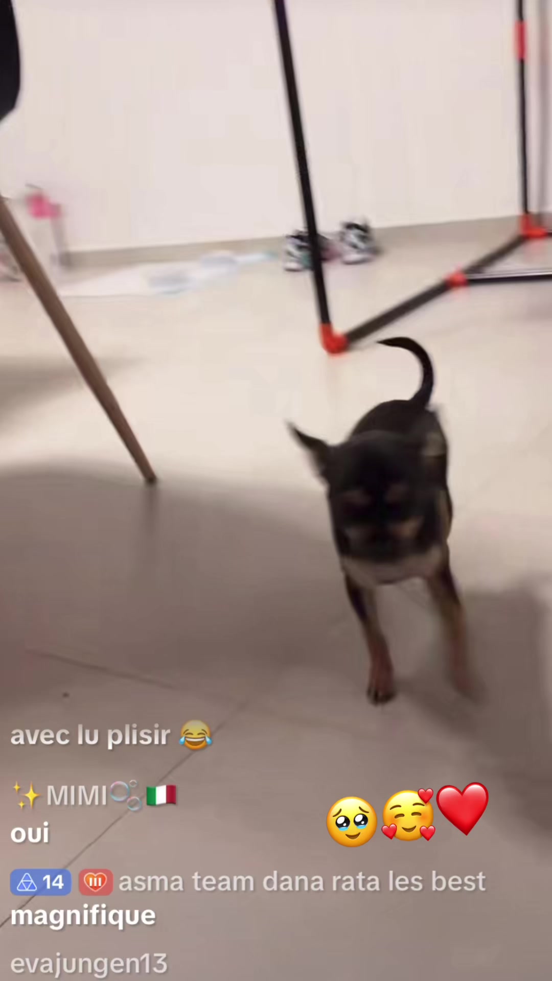 @Lo&iuml;c-fid&egrave;le-au-D 👑💎❤️&zwj;🔥