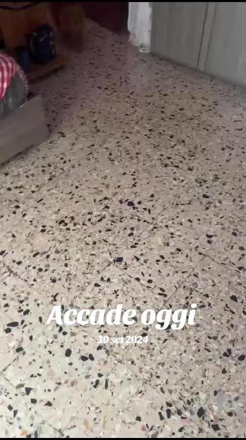 @lamammadirosyeale🥰
