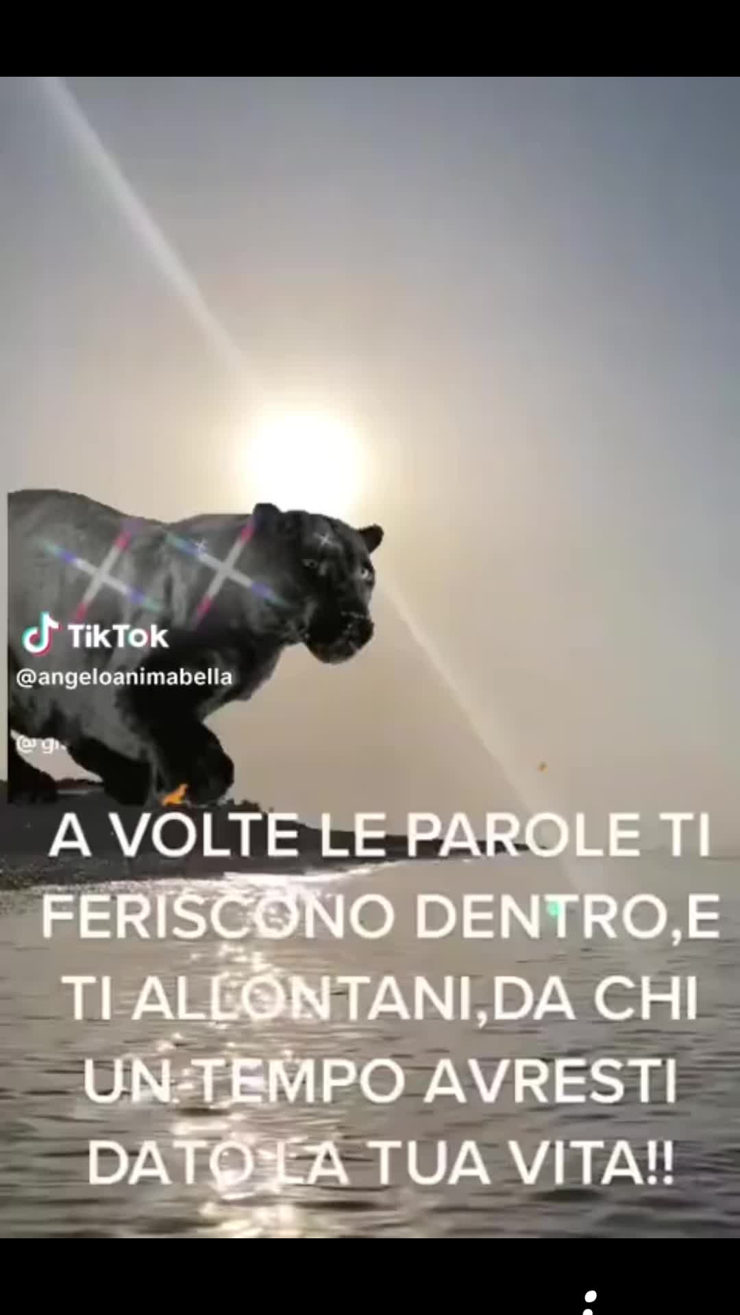 @Michela Rizzi