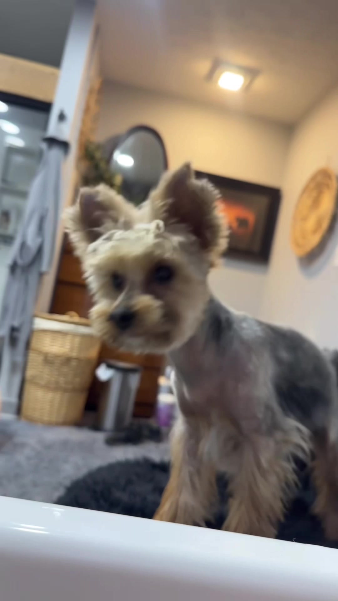 @LilFilly