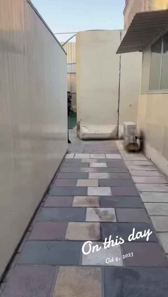 @MamaGG🥰🥰 🇰🇪 🇺🇸