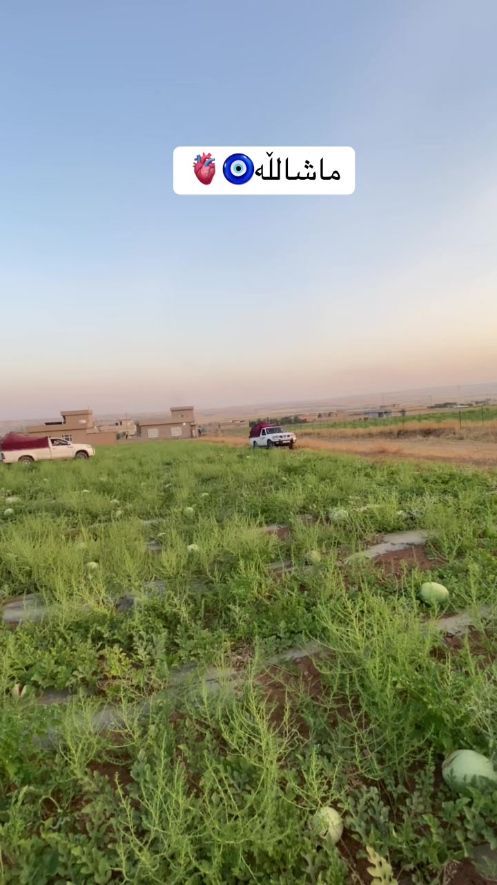 @Hama
