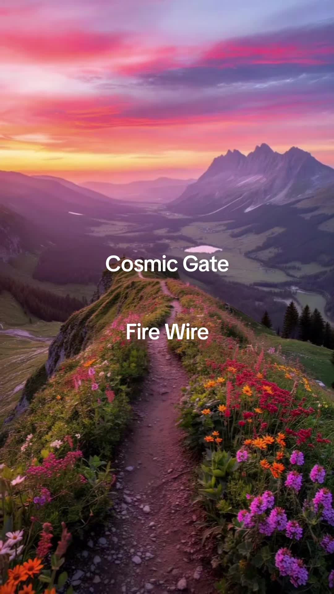 @Waldpixel
