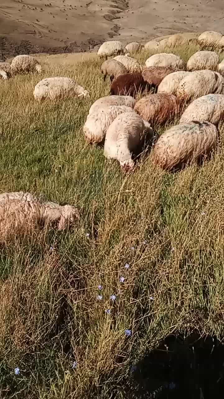 @Zahid cehrili