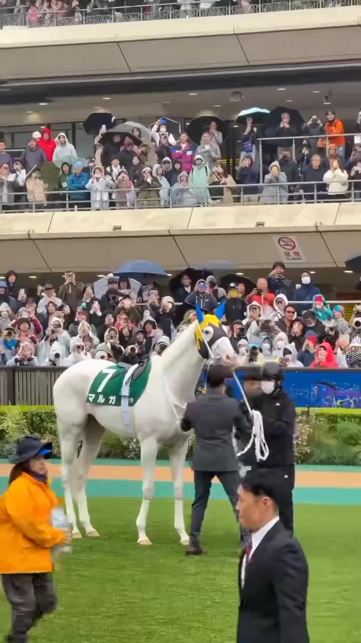 @abdullahawan131