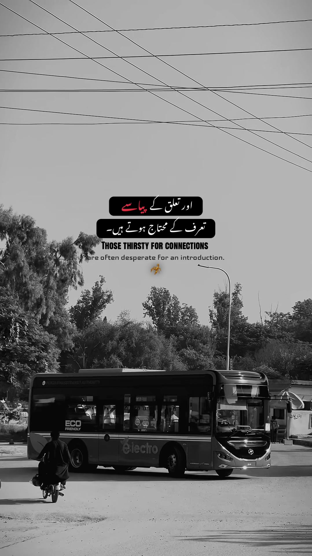 @• 𝐒𝐇𝐀𝐌 ✦