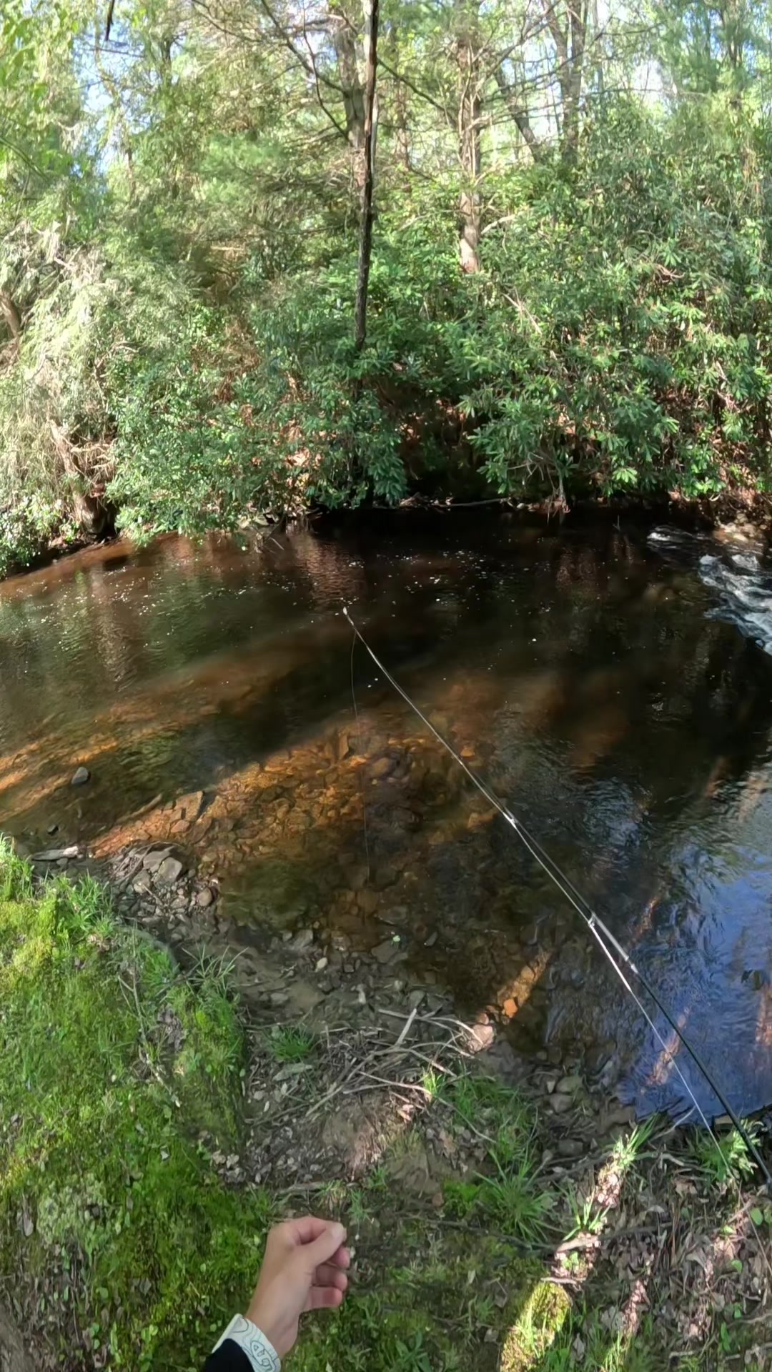 @FlyFishDelawhere