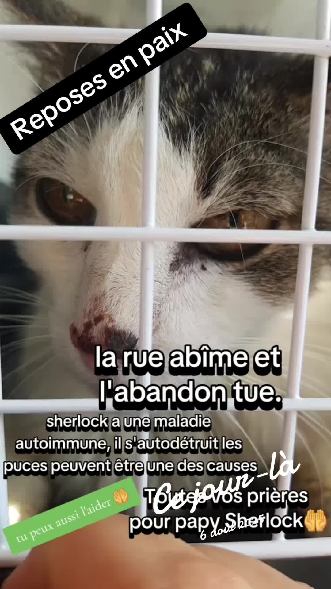 @chatvabien67