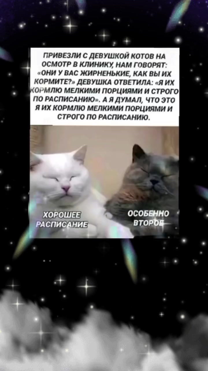 @💎𝓝𝓪𝓽𝓽𝓽𝓲 💎