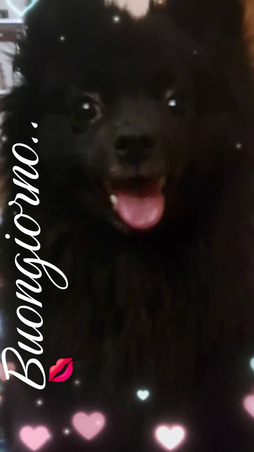 @riccardomerra990