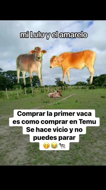 @👽..WF EL RUSO...👹