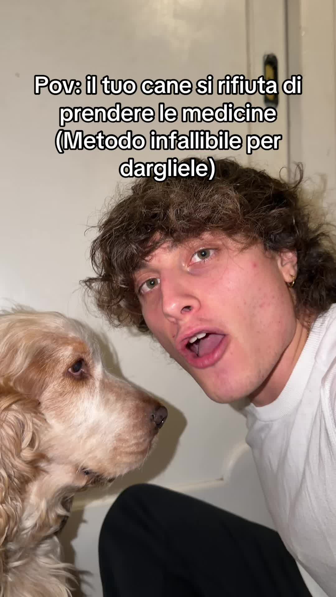@seltsamofficial