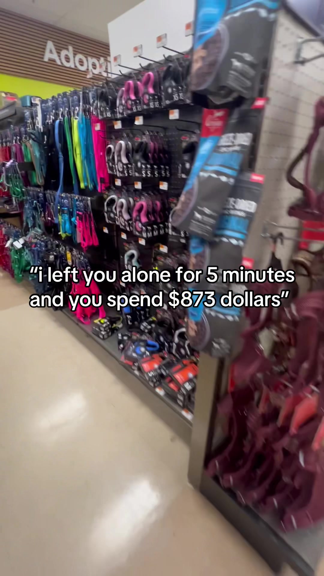 @Charlie & Mable