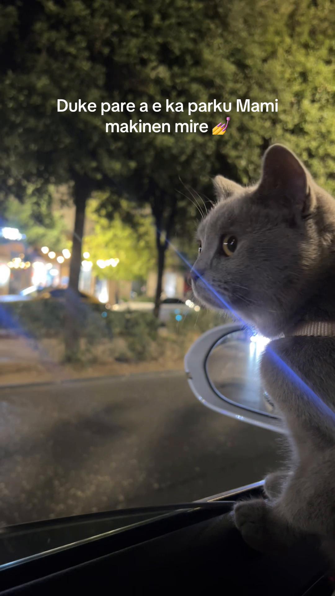 @matchaathecat