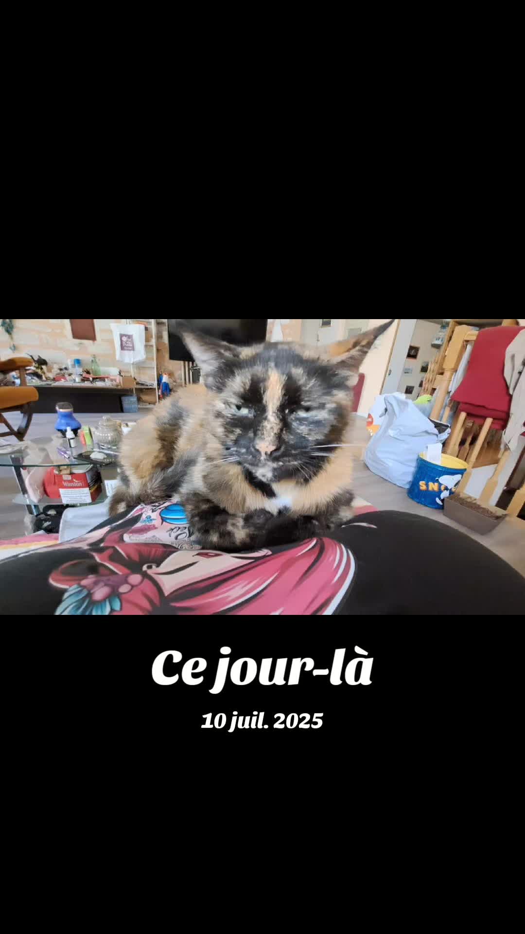 @Vecny