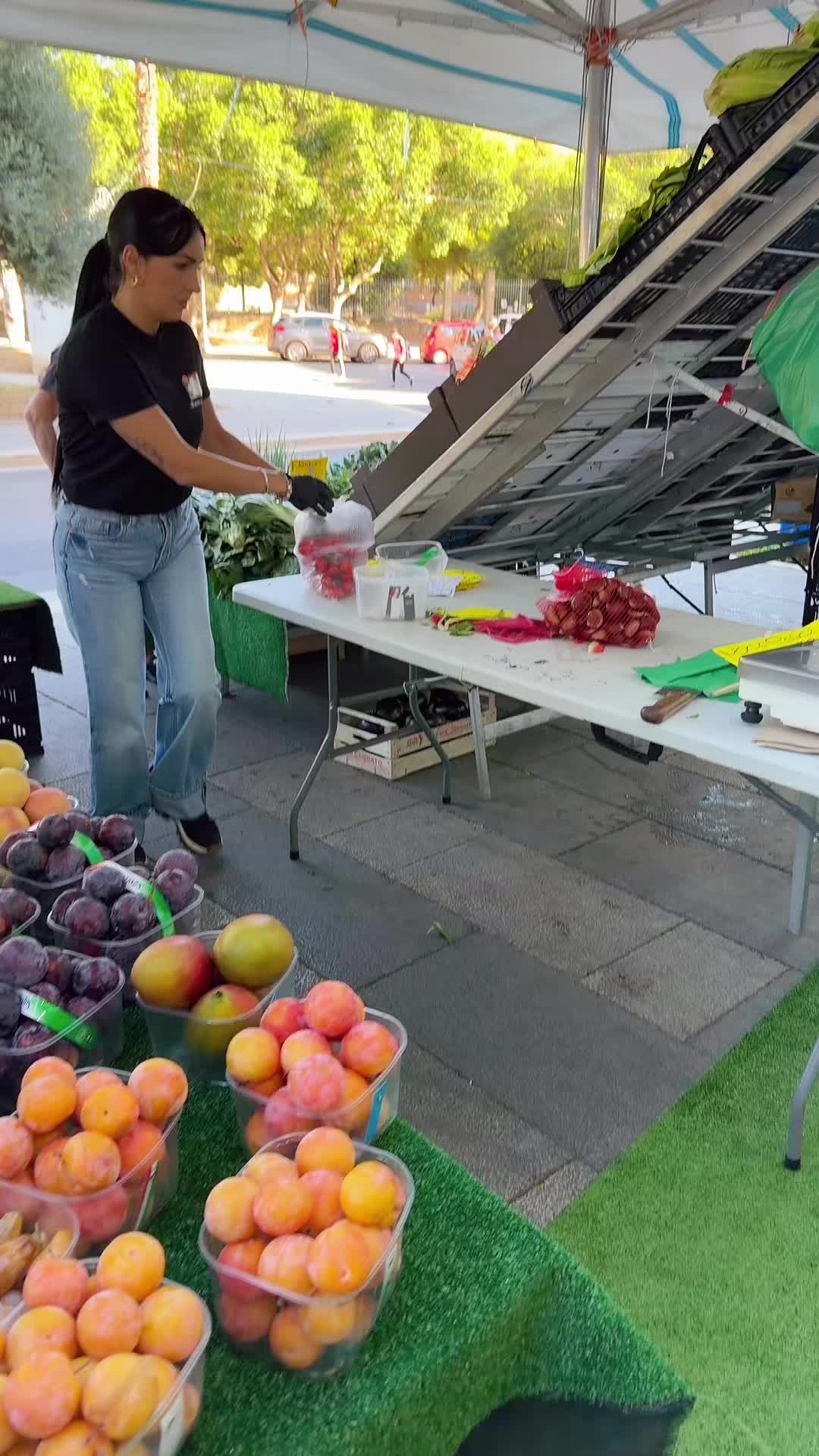 @Torregrossaortofrutta