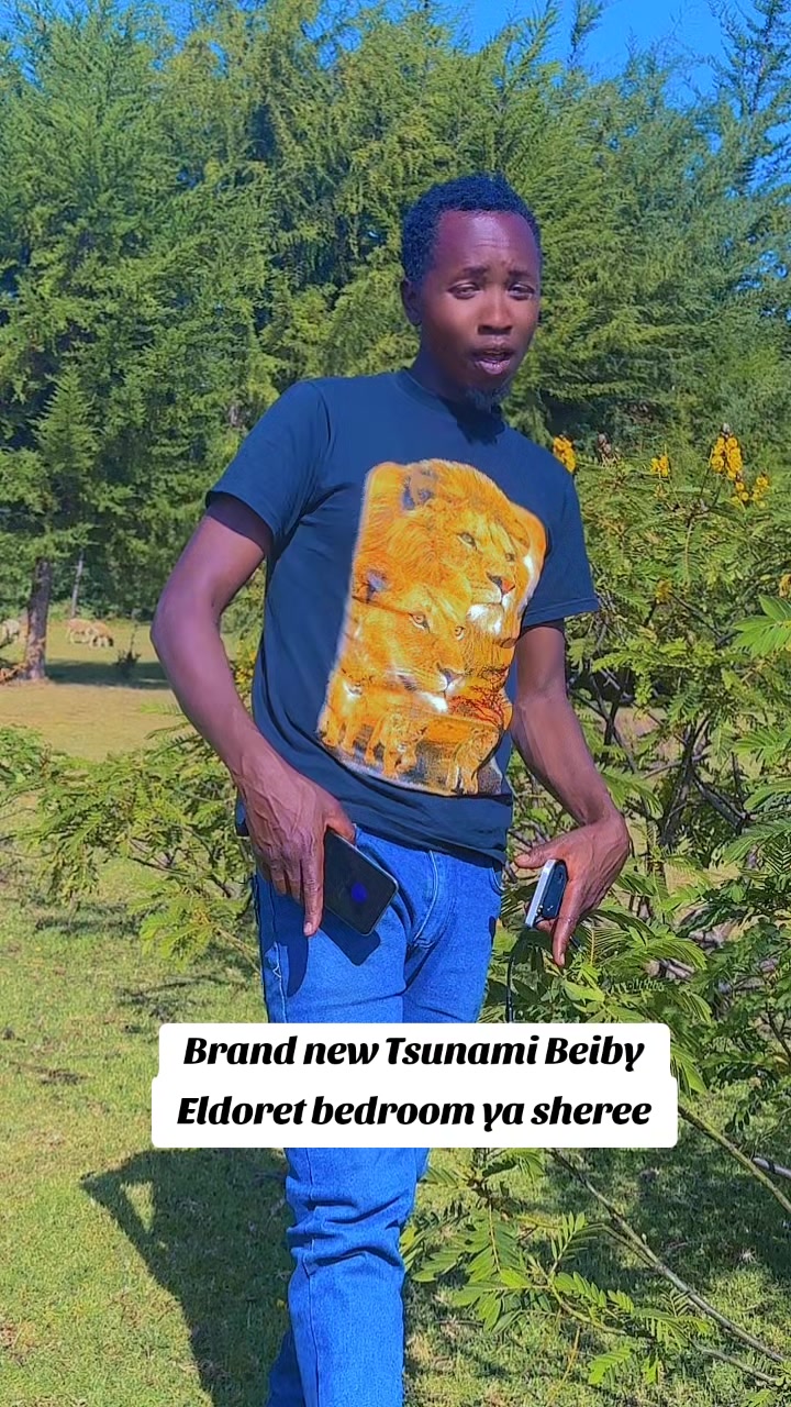 @KEMTY CLASSIC 254