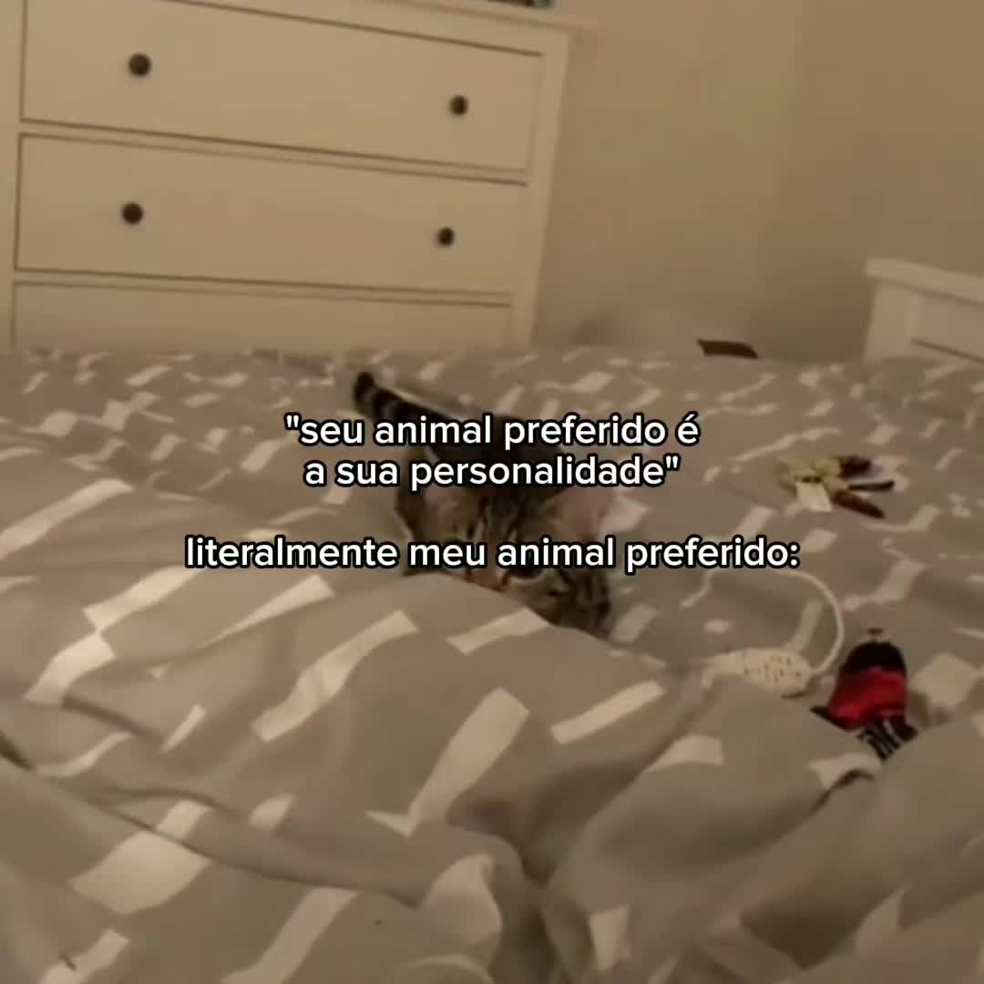 @Manu😼