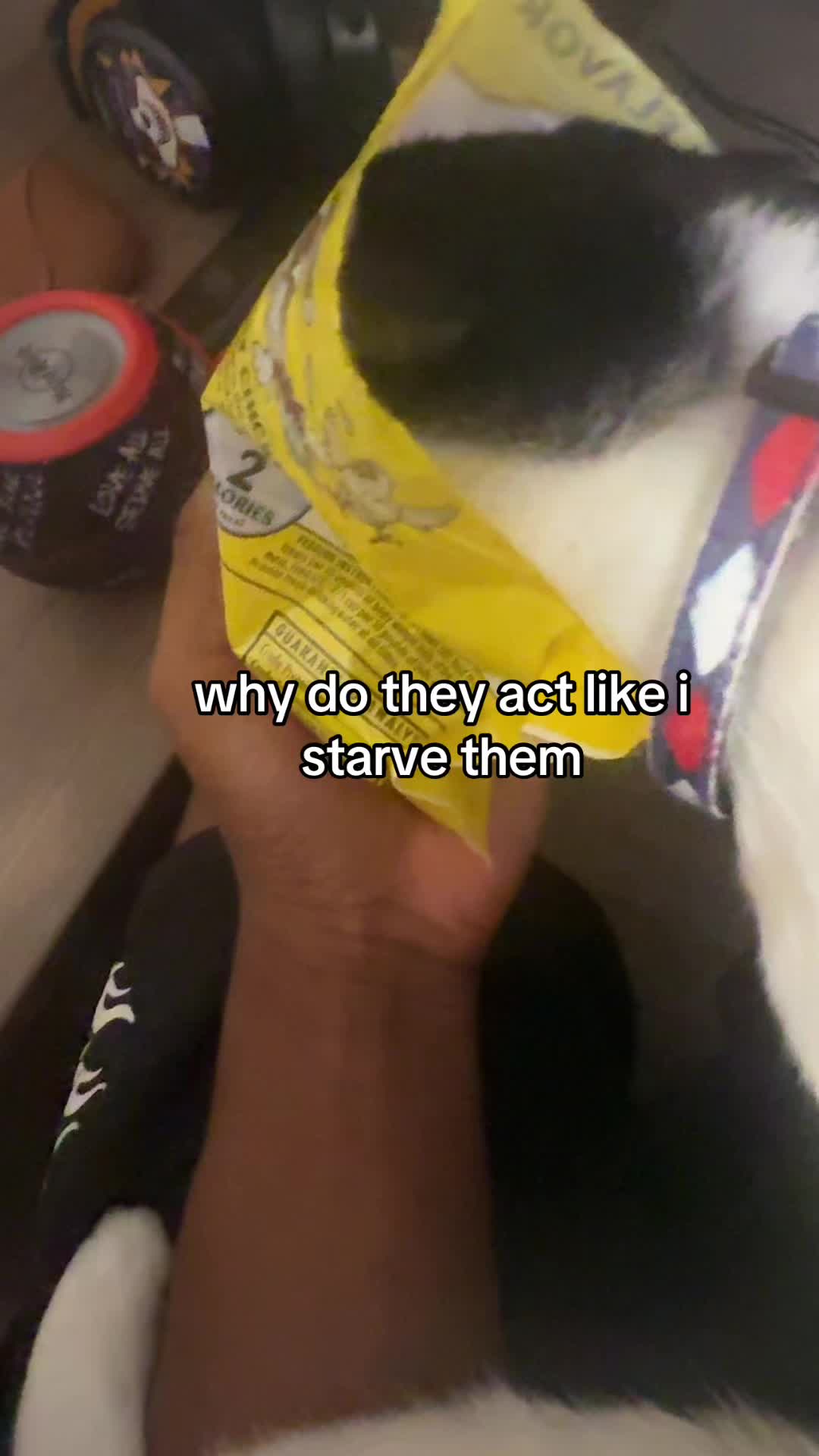 @ShawnWasHere