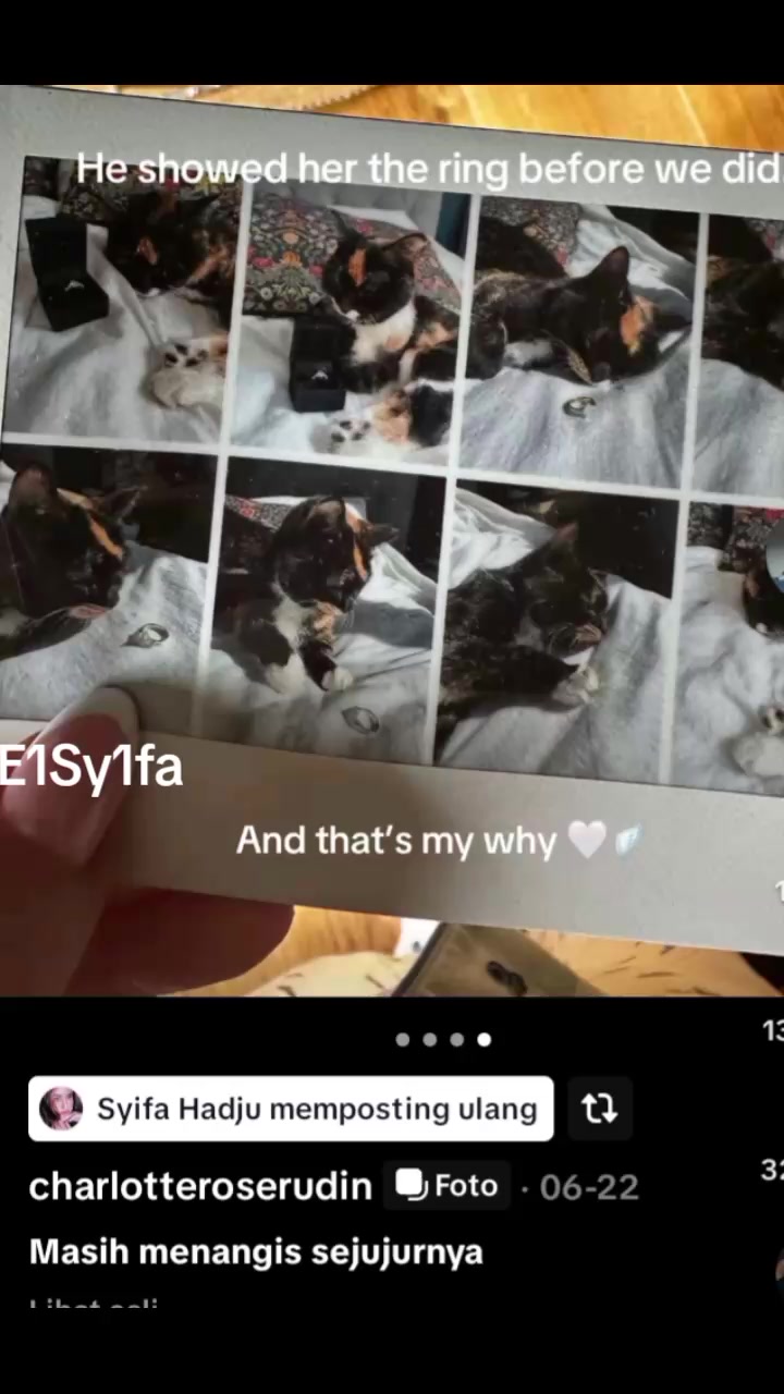 @E1Sy1fa