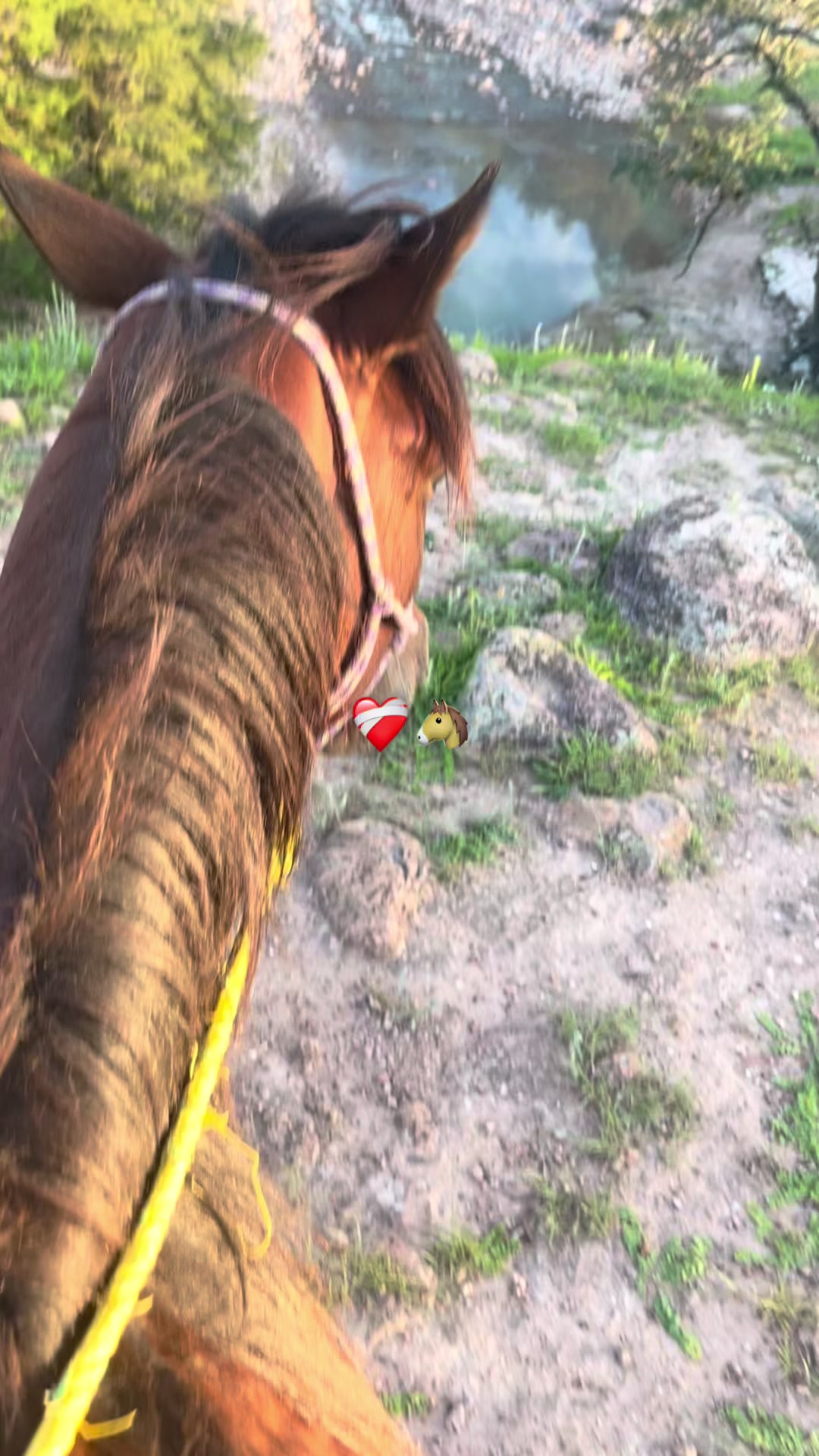 @🪐𝓙𝓾𝓷𝓲𝓸𝓻🪶🌵